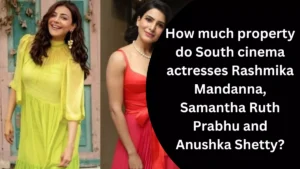 How much property do South cinema actresses